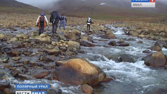 На «Полярную землю» съедутся ведущие туроператоры России и Норвегии, чтобы обсудить развитие туризма в Арктике
