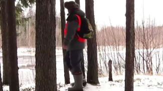 Практичные советы спасателей: что взять с собой в зимний поход и как вести себя в лесу, если вы заблудились