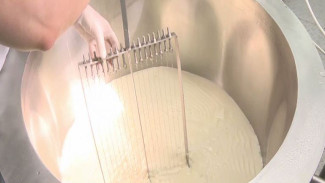Жители Ямальского района могут попробовать итальянский сыр ярсалинского производства
