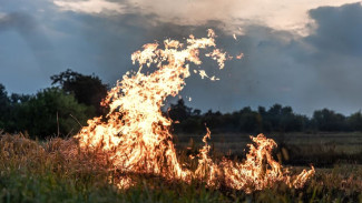 На Ямале зафиксировано четыре природных пожара