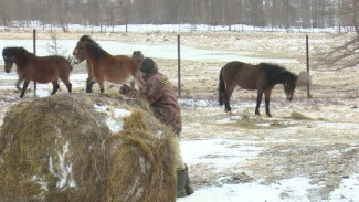 Тонны соли и овса: в «Полярно-Уральский» доставили зимний прикорм для животных