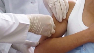 Октябрь – время ставить прививки от клещевого энцефалита: спешат ли это сделать ямальцы