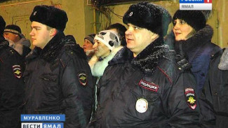 Народная дружина в Муравленко: люди с красными повязками вышли на улицы города