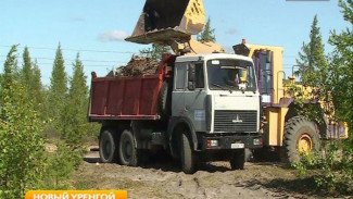 «Мы просто ужаснулись, территория была захламлена настолько, что ступить негде было»