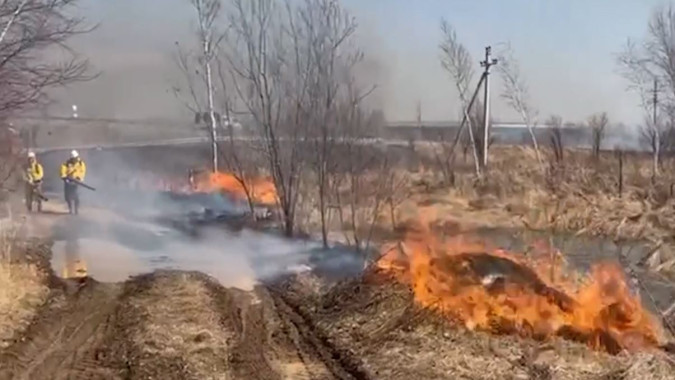 В Приморье общая площадь природных пожаров превысила 2 тыс. гектаров