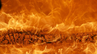 11 спасателей тушат природный пожар в Приуральском районе