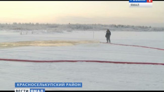 На автозимнике «Уренгой-Красноселькуп» началось обустройство трассы