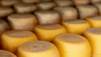 «Запрещенка»: в Новом Уренгое предприниматель продавал санкционный сыр