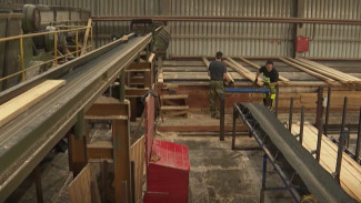 В ХМАО возводят цех по производству древесной муки