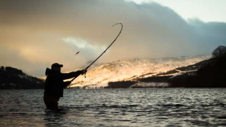 Подать заявку на традиционное рыболовство на Ямале теперь можно на портале «Госуслуг»
