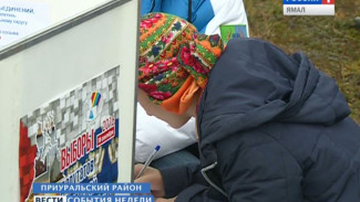 Досрочные выборы на Ямале: более 8 тысяч тундровиков и работников ТЭКа уже проголосовали