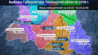 К 3 часам ночи явка на выборах губернатора Тюменской области на Ямале превысила 62%