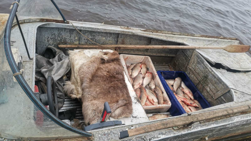 Незаконный улов на крупный ущерб: на Ямале с поличным поймали браконьеров 