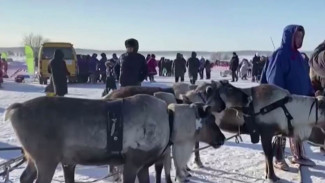 В ЯНАО стартовала эстафета Дней оленеводов