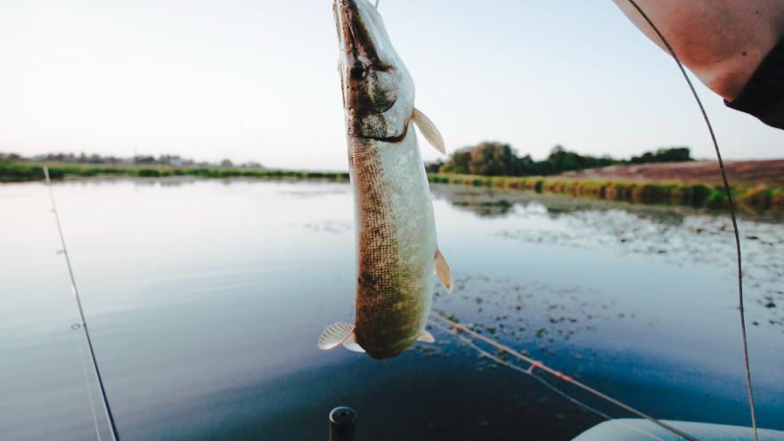 На Ямале до конца лета продолжается прием заявок на традиционное рыболовство