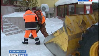 Пойти за покупками, а оказаться у травматолога. Власти Губкинского помогли предпринимателям не потерять клиентов