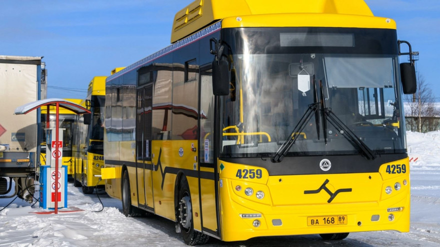 На Ямале владельцы газомоторных автобусов и грузовиков не будут платить транспортный налог 