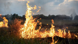 С 20 мая по 21 сентября на Ямале будет установлен пожароопасный сезон