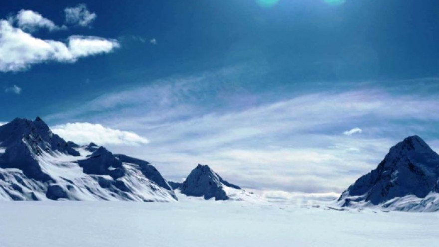 В Арктике ученые собрали растения, которые скрывались подо льдом 40 тысяч лет