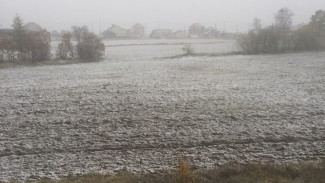Первая весточка зимы: Салехард и Лабытнанги накрыл снегопад