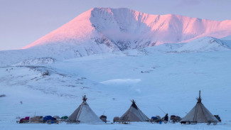 Стали известны победители конкурса «Покажи Ямал»