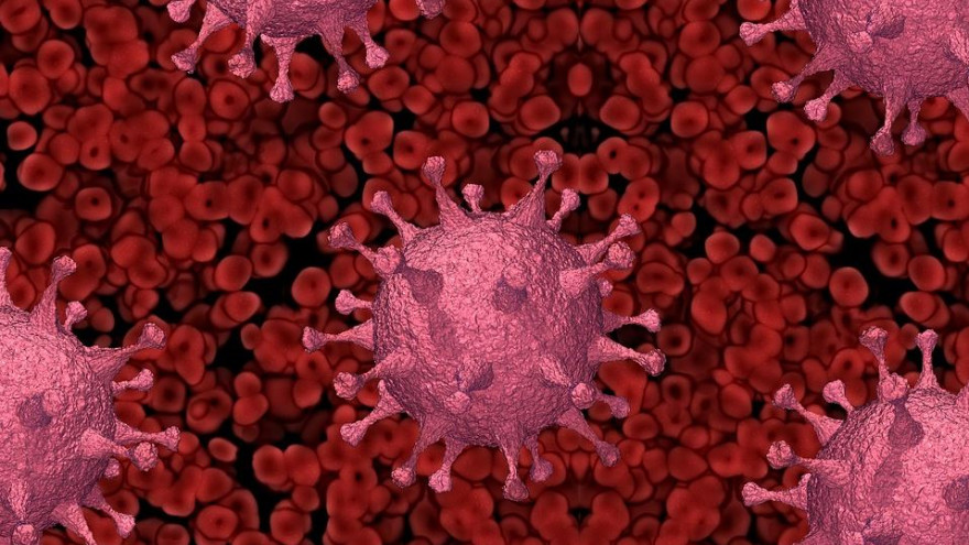 На Ямале зафиксировано 38 новых случаев коронавируса, 1 человек скончался