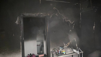 В Пангодах из горящего дома спасли женщину с ребенком