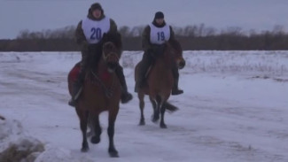 В Архангельской области прошли конные соревнования на лошадях уникальной породы