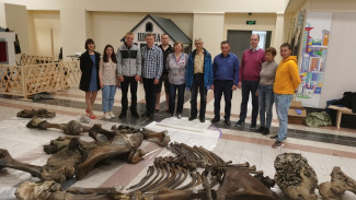 В Салехард доставили останки найденного в районе Сеяхи мамонта (ВИДЕО)