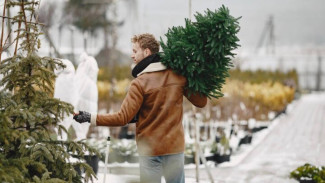 Жители Ноябрьска дадут вторую жизнь новогодним елкам
