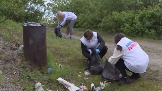 Бутылки, упаковки от продуктов и даже ковёр: в Лабытнанги эковолонтёры очистили от мусора берег реки Ханмей