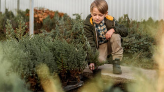 В Салехарде откроется первый агротехкласс для школьников