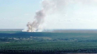 Специалисты «Ямалспаса» в Губкинском спасли целый город от природного пожара