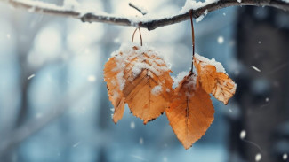 Погода в Салехарде и округе: снег и понижение температуры до -5 градусов обещают синоптики