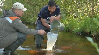 Янтарный блеск науки: ученые продолжают исследовать озеро в Надымском районе