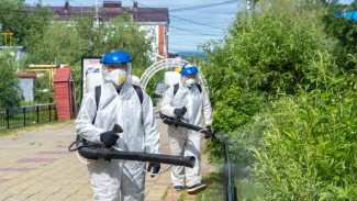 В Приуральском районе начали обработку общественных пространств от гнуса