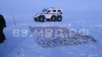 Ямальские полицейские обнаружили схрон с незаконно добытой рыбой на 1,5 млн. рублей