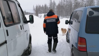 Спасатели выручили людей, попавших в беду на трассе Сургут - Салехард