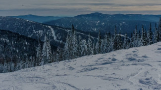 ИИ помог найти более сорока без вести пропавших в Архангельской области