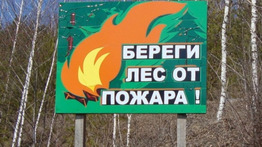 На Ямале ограничили пребывание граждан в лесах