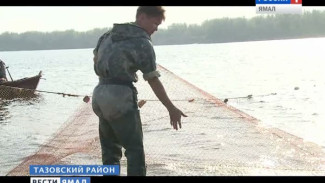 Летняя путина-2016 началась раньше. Выполнят ли в этом году план тазовские рыбаки?
