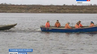 Тазовские рыбаки планируют выловить 800 тонн «живого серебра»