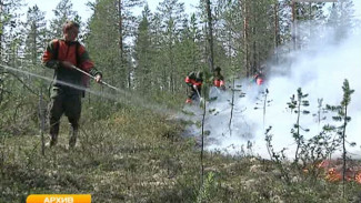 Каким будет лето на Ямале, и что является главной причиной лесных пожаров?