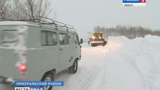 Дорожники в ускоренном режиме восстанавливают зимник Лабытнанги - Теги