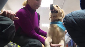 Собака-терапевт: как четвероногие лекари помогают детишкам с аутизмом и ДЦП