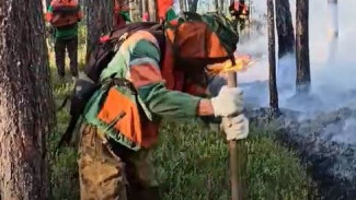 7 природных пожаров. На Ямале огонь охватил 152 гектара леса