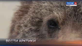 Вести Арктики. Эфир от 13.06.2026 (14:30)