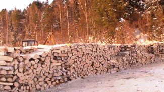 Тепло в копеечку. В Шурышкарском районе началась доставка дров