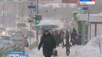 Жители Ноябрьска массово подают заявление на банкротство, желая избавиться от кредитов