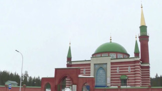 Масштабный образовательный проект для детей-мигрантов готовят в Ноябрьске